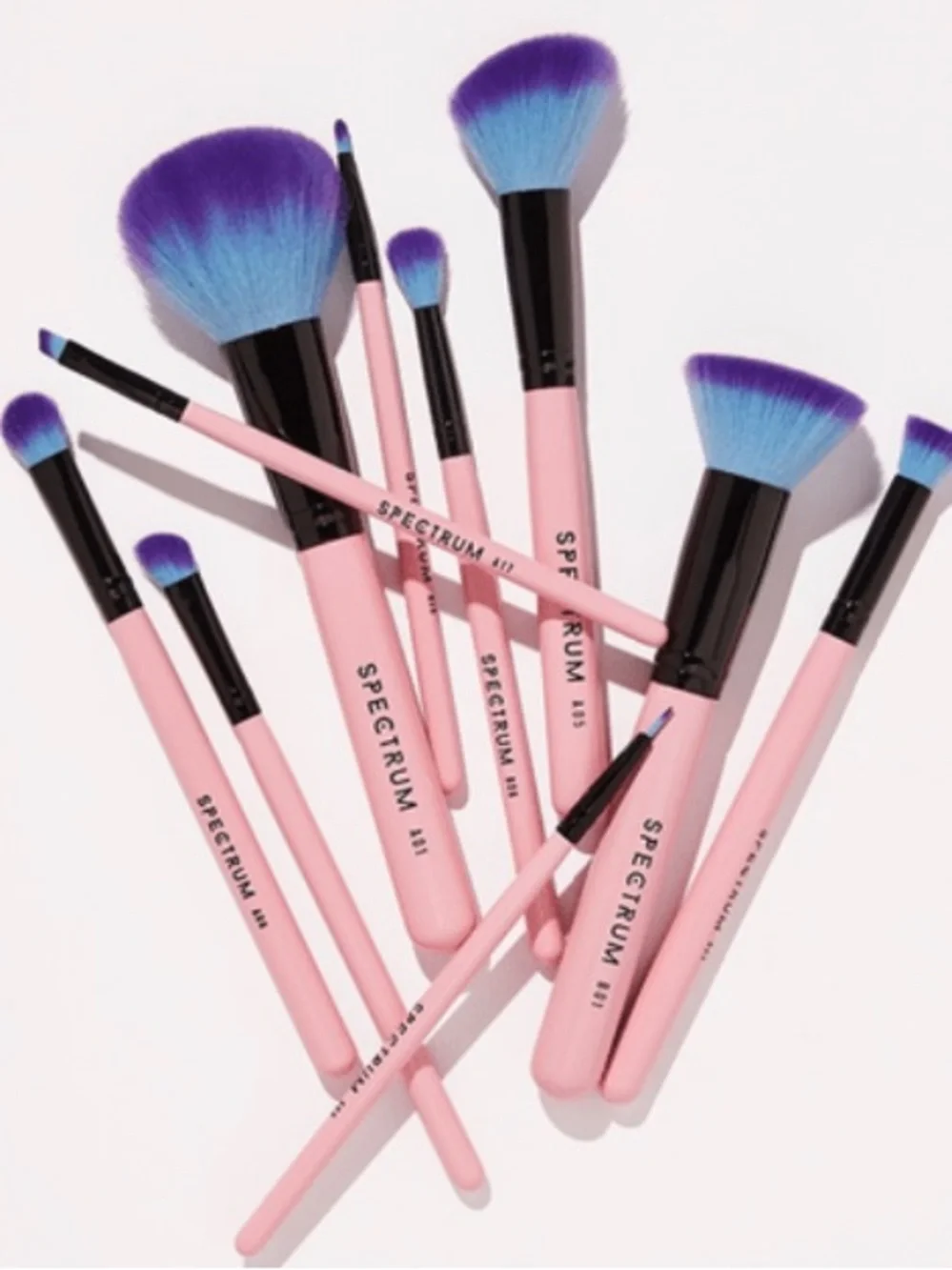 Spectrum Collections 10 Piece Essential Makeup Brush Set BRAND NEW IN BOX